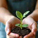 Coaching Nutrizionale e Supporto Continuo